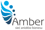 logo_amber.png