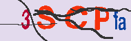 Kod CAPTCHA