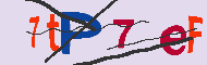 Kod CAPTCHA