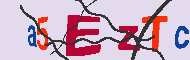 Kod CAPTCHA