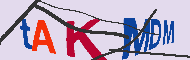 Kod CAPTCHA